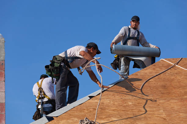 Best Commercial Roofing Services  in Wood River, NE