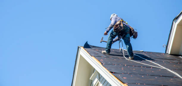 Best Roof Leak Repair  in Wood River, NE